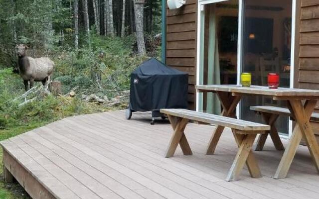 Cozy Studio Apartment