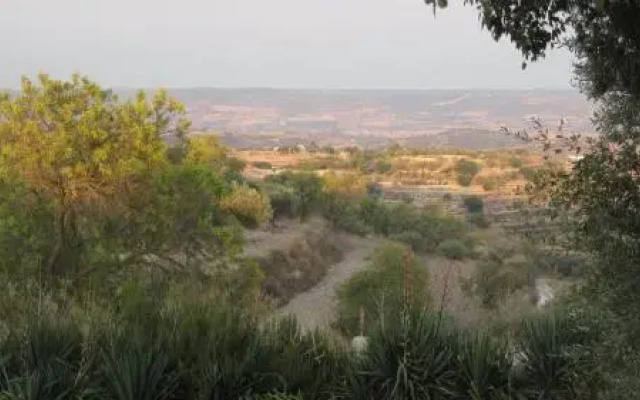 La Terrazza Dell'Ulivo