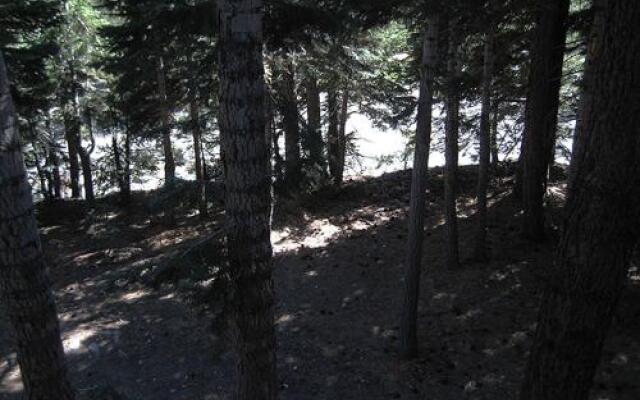 Mammoth View Villas 35