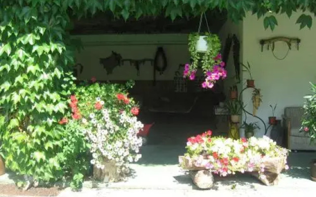 Appartment Harreiterhof