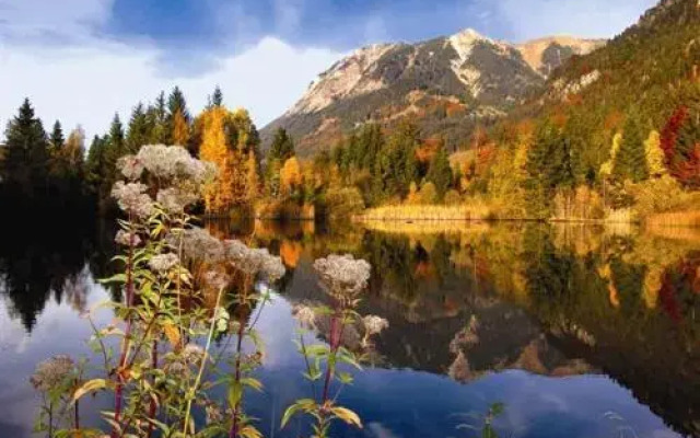 Ferienwohnung Nebelhornblick