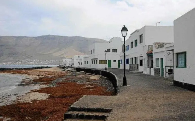 Adelaidita