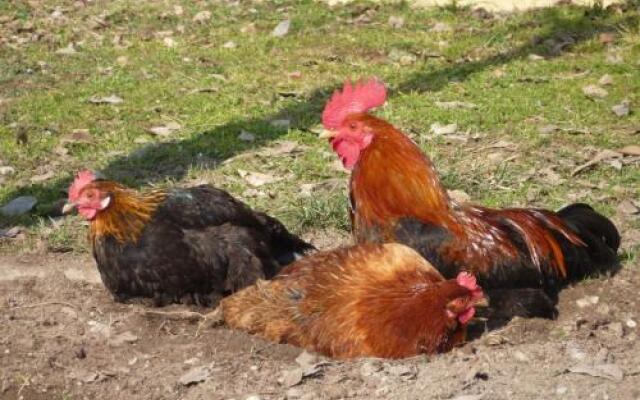 LAdele Bed & Breakfast