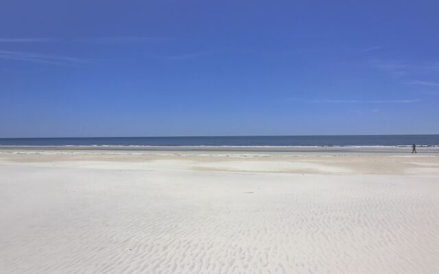 Duck Hawk 22 by RedAwning