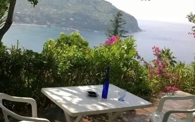 Bella Vista
