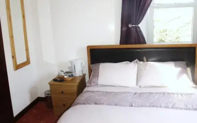 Brown Trout Hotel