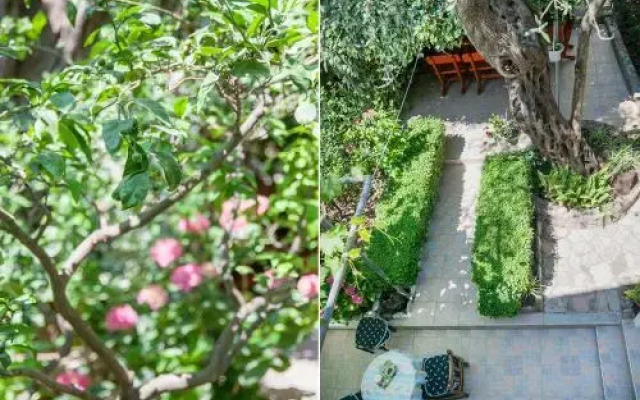 Rooms Garden