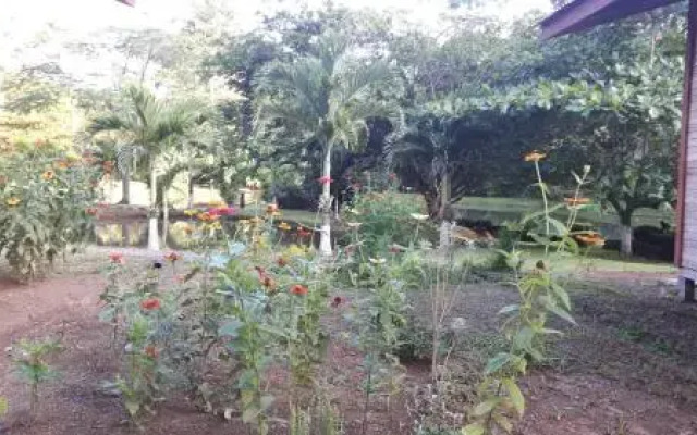 Rincon Verde