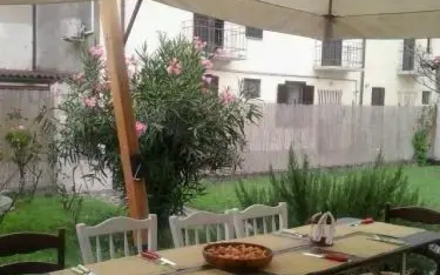 Dragonfly B&B