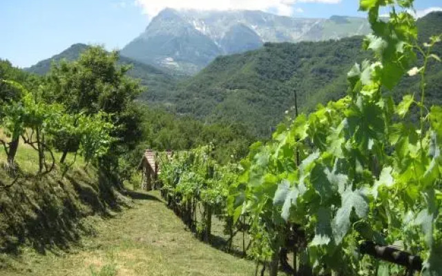 Agriturismo Casavecchia