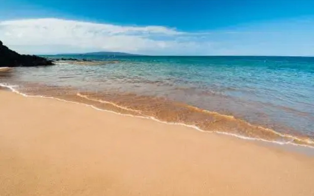 Maui Kamaole #K-209