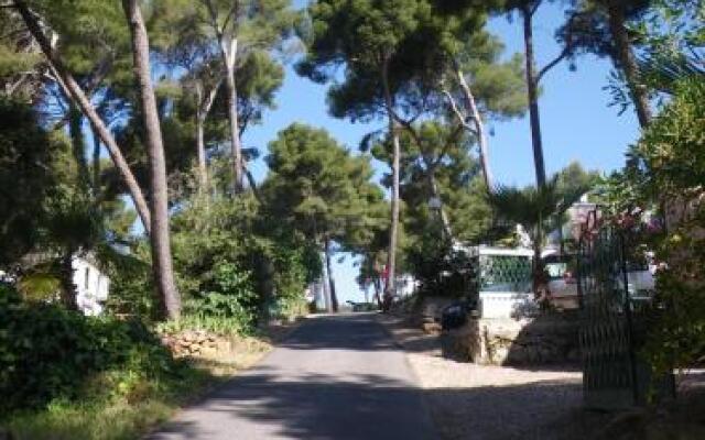 Camping De Ceyreste