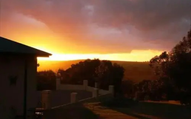 Eden Park Views