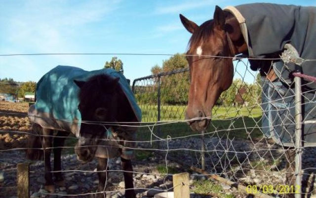 154 Kaniere Road Accommodation – Outside – Hokitika