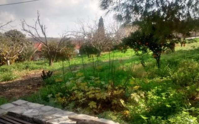 Garden Kamara House