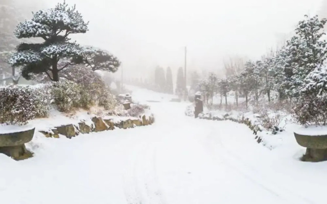 Seosan Pinehealing Pension