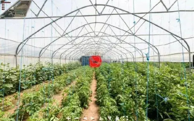 Farm stay Orlov put