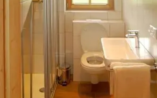 Chalet Steinerner-Meerblick & Appartements Hoferbichlgut - Saalfelden