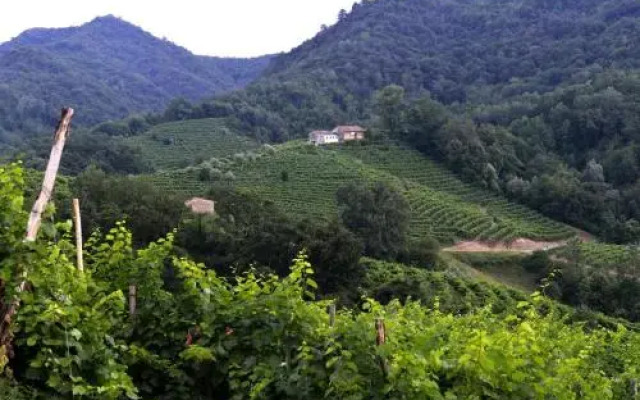 B&B Casa di Campagna