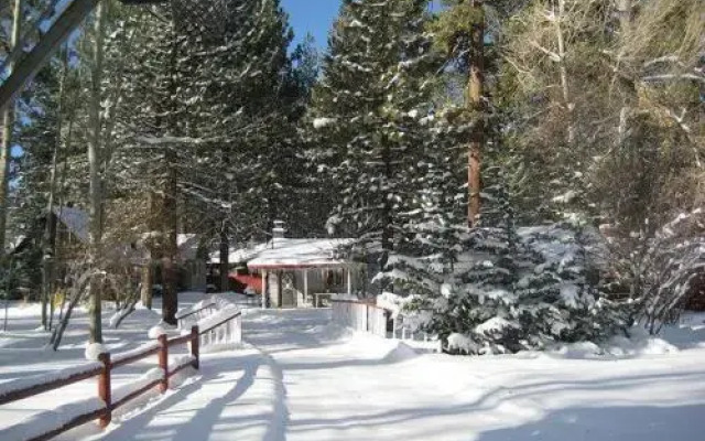 Mole Cabin