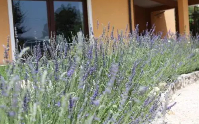 Bed & Breakfast Le Piagge