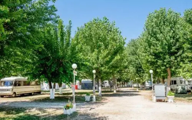 Kalamitsi Beach Camping Village