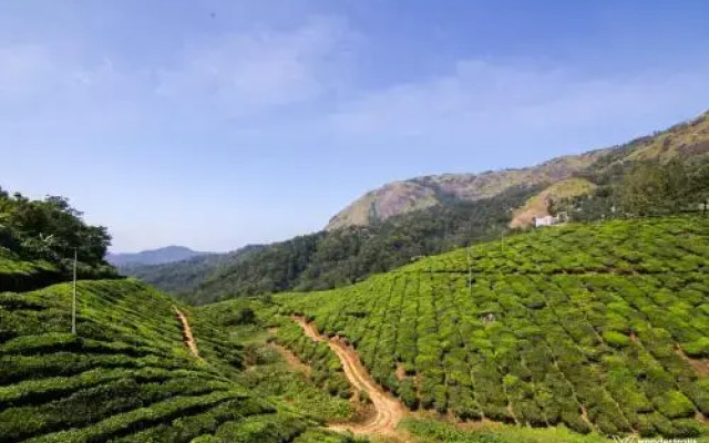 Munnar Homestay