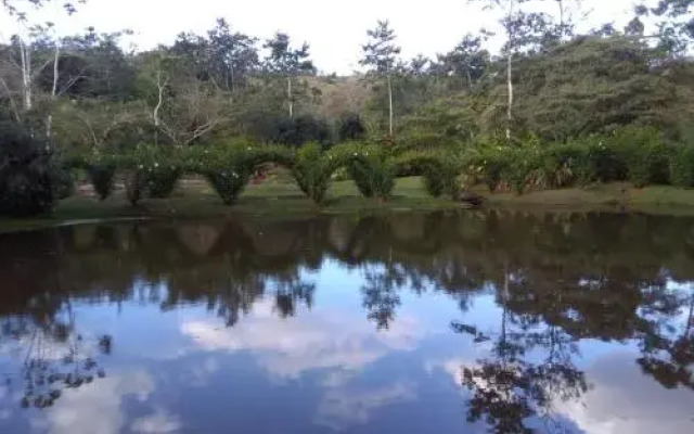 Rincon Verde