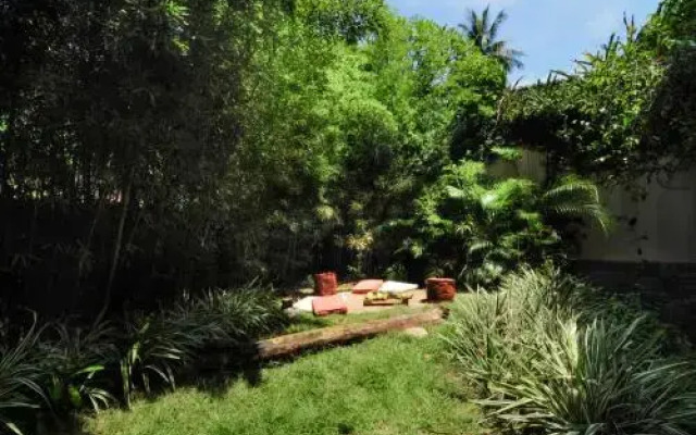 Tropical Hills Design Mansion