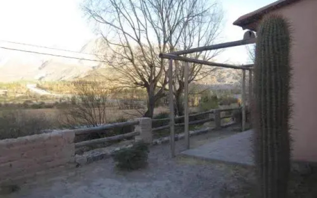 Campo Morado