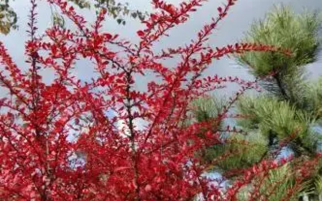 Apartmány pod Kozákovem