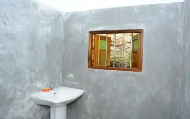 The Jungle House