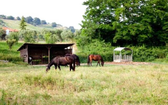 Agriturismo Villa Irelli