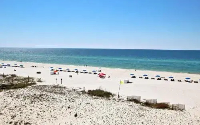 Boardwalk 483
