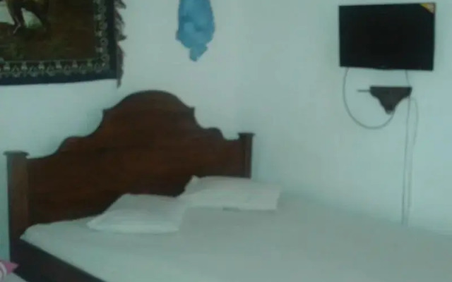 Lion Inn Guest House