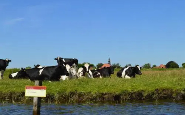 Vakantiehuis Meerzicht