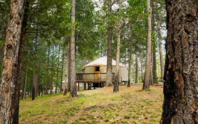 Yosemite Lakes Hillside Yurt 1