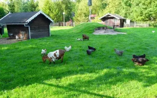 Vakantiepark Bosmeer