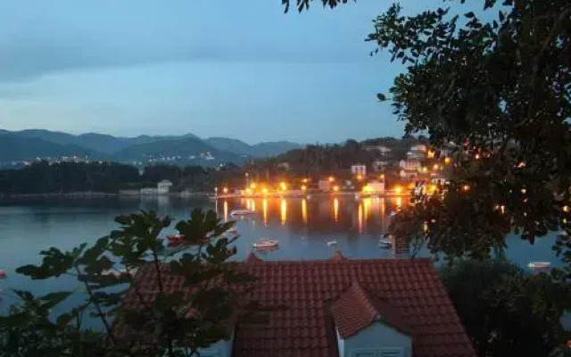 Apartments Tereza
