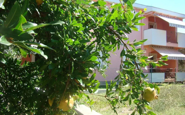Apartments Lisica