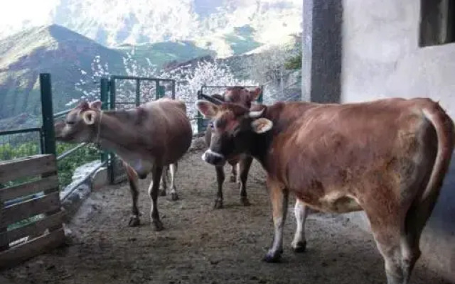 Alojamiento Rural La Montaña