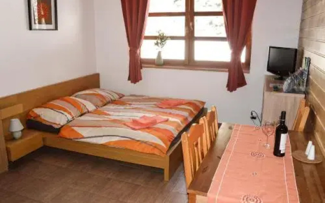 Cihlarka Mountain View Apartment