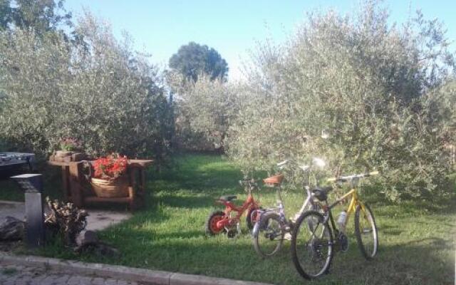 Il Giardino di Mavi