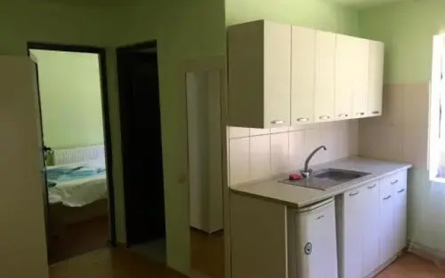 Vila Adela Transfagarasan