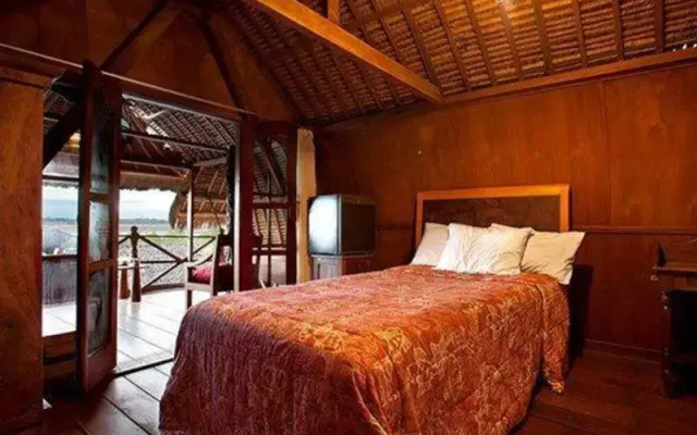 Phoenix Villa