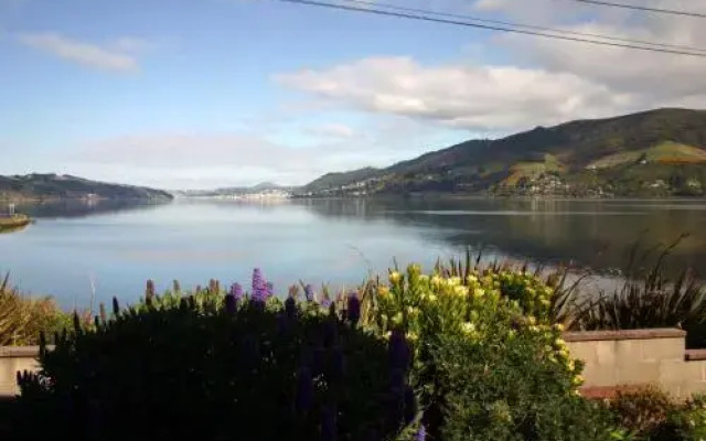 Arts Content Harbour View