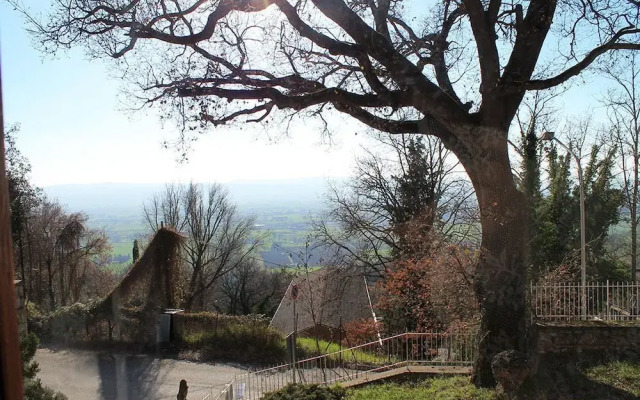 Sogni d'Assisi