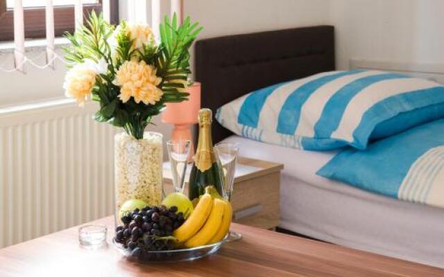 Guesthouse Vila Puzic