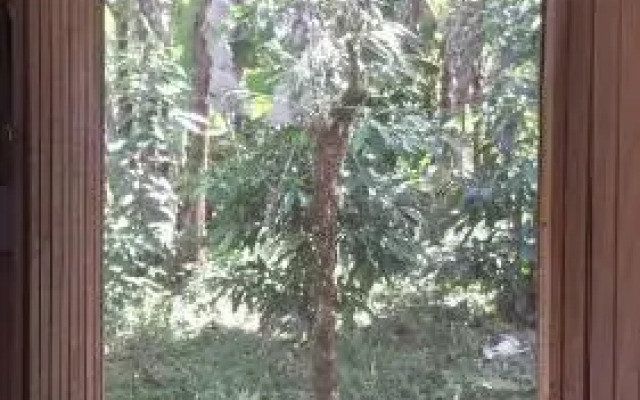 Casa Quijote Boutique Hostel and Restaurant