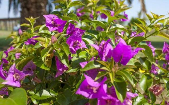 Agriturismo Mazzalupo